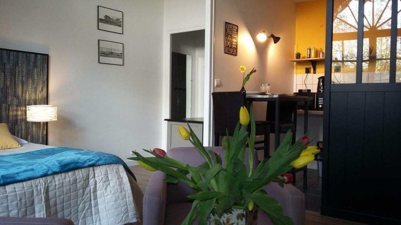Les Tulipiers, Parking Securise, Lit Queen-Size, Le Port Du Mans ルマン エクステリア 写真