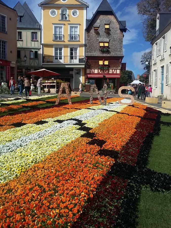 Les Tulipiers, Parking Securise, Lit Queen-Size, Le Port Du Mans ルマン エクステリア 写真